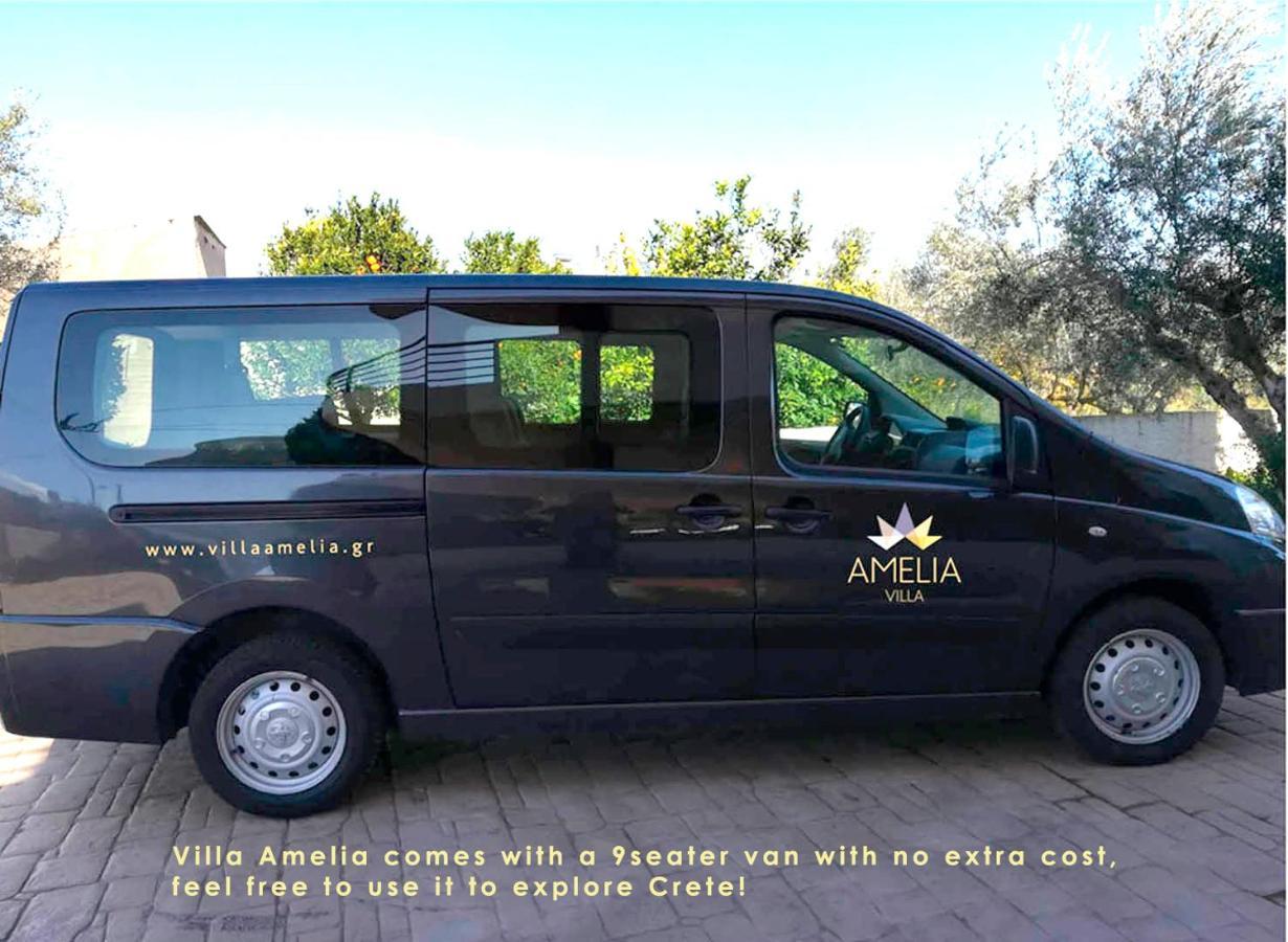 Villa Amelia I Free 9 Seater Mini Van & Pool كالاثاس المظهر الخارجي الصورة